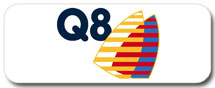 Моторное масло Q8