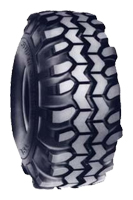  Interco Interco TSL Bias