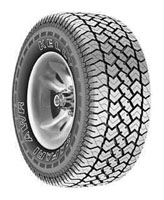  Kelly Kelly Safari AWR