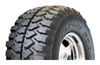  Kelly Kelly Safari DTR HVT