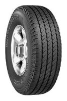  Michelin Michelin Cross Terrain SUV