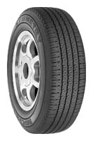  Michelin Michelin Symmetry